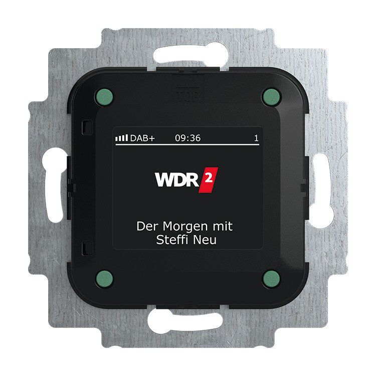 Busch-Jaeger 8215 U-101 Busch-Radio mit DAB+ und RDS-Stereo-Radiowecker, UP